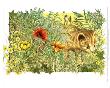 Cat In Foliage by Alan Baker Limited Edition Print