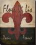 Fleur De Lis by Karen J. Williams Limited Edition Pricing Art Print