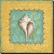 Sanibel Conch by Kate Mcrostie Limited Edition Pricing Art Print