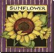 Sunflower Seed Packet by Susan Winget Limited Edition Pricing Art Print