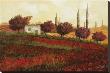 Apapaveri Toscana Ii by Furtesen Limited Edition Print