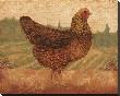 Tuscan Hen I by Lisa Ven Vertloh Limited Edition Pricing Art Print