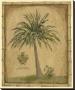 Caribbean Palm Iii With Bamboo Border by Betty Whiteaker Limited Edition Print