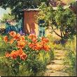 Spring Poppies by J. Chris Morel Limited Edition Print