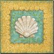 Sanibel Scallop by Kate Mcrostie Limited Edition Print