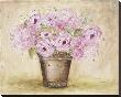 Classic Pink Roses And Hydrangeas by Antonette Bowman Limited Edition Print
