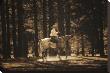 High Country Cowboy by Barry Hart Limited Edition Print