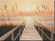 Walkway To Sea by Diane Romanello Limited Edition Pricing Art Print