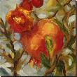 Seasonal Pomegranate Ii by Nicole Etienne Limited Edition Print