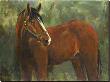 Le Cheval by Allayn Stevens Limited Edition Print