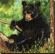 Baby Bear by Suzanne Etienne Limited Edition Print