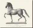 Etching Front View, Cavallo by Antonio Canova Limited Edition Print