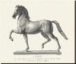 Etching Front View, Cavallo by Antonio Canova Limited Edition Print