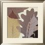 Four Leaves I by Steven N. Meyers Limited Edition Pricing Art Print