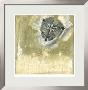 Celadon In Bloom I by Jennifer Goldberger Limited Edition Pricing Art Print