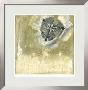 Celadon In Bloom I by Jennifer Goldberger Limited Edition Print