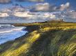 Blustery Afternoon Along Coast, Dunstanburgh, Northumberland, England by Adam Burton Limited Edition Print