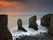 Rock Stacks Guard The Entrance To A Secluded Pembrokeshire Cove, Wales by Adam Burton Limited Edition Print