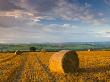 Hay Bales In A Field Near Easington, Mid-Devon, England by Adam Burton Limited Edition Print