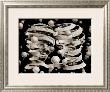 Bond Of Union by M. C. Escher Limited Edition Print