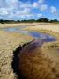 Small Stream Winding Through The Beach To The Sea, Studland Bay, Dorset, England by Adam Burton Limited Edition Print