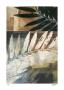 Savannah Leaves Iii by John Butler Limited Edition Pricing Art Print
