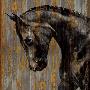 Horse I by Martin Rose Limited Edition Pricing Art Print