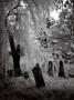 Eerie Cemetary, Romania by Ilona Wellmann Limited Edition Print