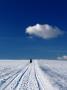 Man Walking In The Snow Under Blue Skies by Ilona Wellmann Limited Edition Pricing Art Print
