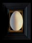 Large White Egg Centered On A Black Frame With Gold Leaf Mat by Images Monsoon Limited Edition Print