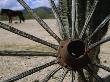 Old West View Of A Wagon Wheel Framing A Horse by Stephen St. John Limited Edition Pricing Art Print