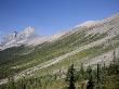 Unesco Burgess Shale Fields Spread Across Wapta And Field Mountain by Taylor S. Kennedy Limited Edition Print