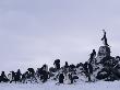 Chinstrap Penguins Congregate On A Rocky Shoreline by Tom Murphy Limited Edition Print
