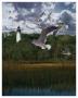 Gullage Light Ii by Steve Hunziker Limited Edition Pricing Art Print
