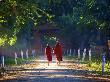 Two Monks Walking With Bowls In Mandalay, Myanmar by Scott Stulberg Limited Edition Pricing Art Print