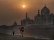 India Camel At The Taj Mahal by Scott Stulberg Limited Edition Print