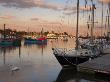 Swan In Lymington Harbour, Lymington, Hampshire, England, United Kingdom, Europe by Adam Burton Limited Edition Print