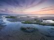 Rockpools At Low Tide In Westward Ho!, Devon, England, United Kingdom, Europe by Adam Burton Limited Edition Print