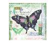Butterfly Artifact Green by Alan Hopfensperger Limited Edition Print