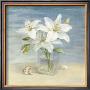 Lilies And Shells by Danhui Nai Limited Edition Print