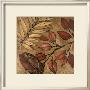 Indian Summer Ii by Lanie Loreth Limited Edition Print