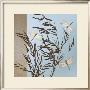 Dragonflies by Caroline Gold Limited Edition Print