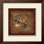 Rustic Leaf Square I by Lanie Loreth Limited Edition Pricing Art Print