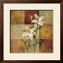 Lily Square by Silvia Vassileva Limited Edition Pricing Art Print