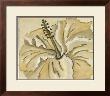 Tone On Tone Petals Iii by Nancy Slocum Limited Edition Print