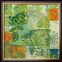 Pamplemousse Et Anis by Cecile De Carvalho Limited Edition Print