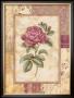Provence Rose I by Pamela Gladding Limited Edition Print