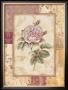 Provence Rose Ii by Pamela Gladding Limited Edition Print