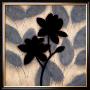 Blossom Silhouette Ii by Erin Lange Limited Edition Pricing Art Print