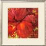 Red Hibiscus Ii by Carol Hallock Limited Edition Print